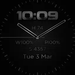 TL Watch 2