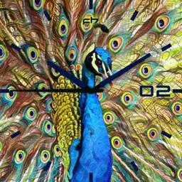 Prisma Peacock