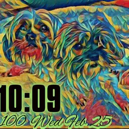 my dog watch