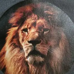 Eden Lions
