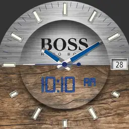 Hugo Boss Steel and Wood