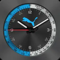 dual display