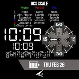 EMS Digital with GCS - greyscale