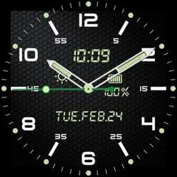 Basic Field Watch