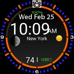 Xdrip Auburn theme