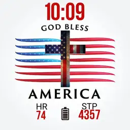 AMERICAN FLAG 2X Copy
