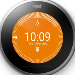 Nest