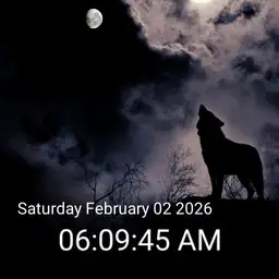Howling At The Moon
