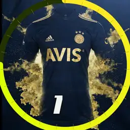 Fenerbahe forma