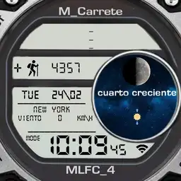 Mlfc_4