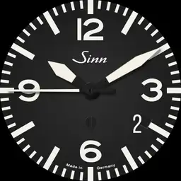 Sinn 856