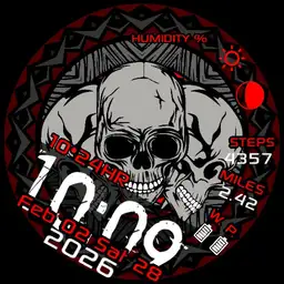 round skull Copy