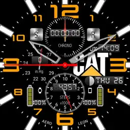 AeroLeon Cat Pilot V02