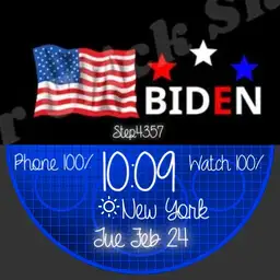 Biden 2020 Copy by geri
