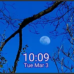 Moon Rise