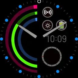 Everyday Watch