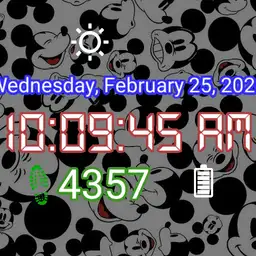 Mickey