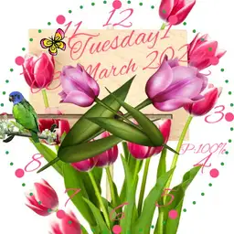 Tulpen