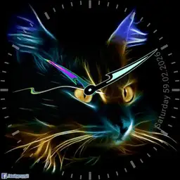 Glowing Cat