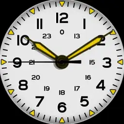 Brute ONE960 Vintage Field Watch Colours