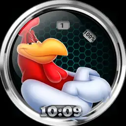 looney 2ns