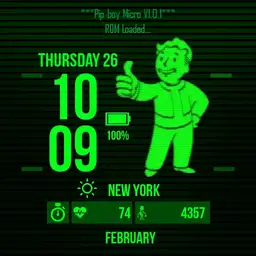 Pip Boy Micro