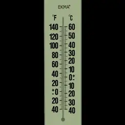 Thermometer Watch