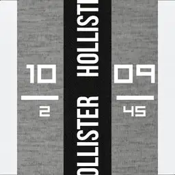HOLLISTER watch