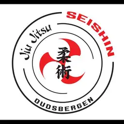 Seishin watch