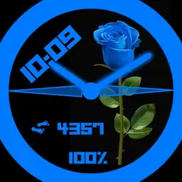 Blue rose