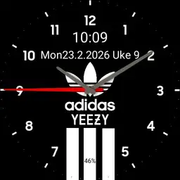 adidas Yeezy