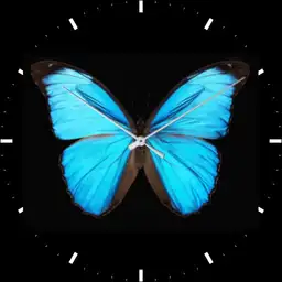 Untitled watch Copy
