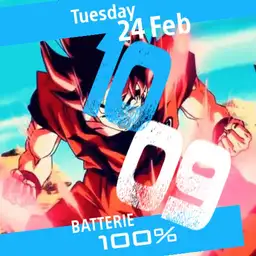 Dragon Ball Z Sangoku