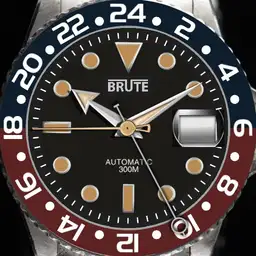 Brute DIVER Analogic