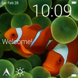 Nemo
