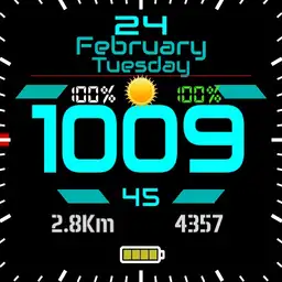 Schwarz65_Final_1.0.1 Copy