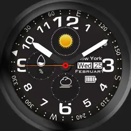 Military Field Watch mod hg7an Copy
