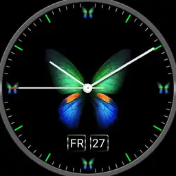Butterfly