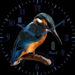 Kingfisher