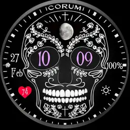 Daves Sugar Skull 2