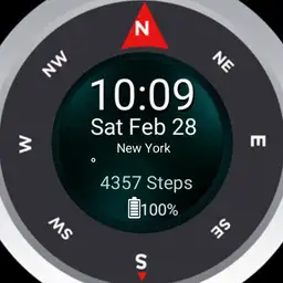 Compass watch
