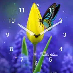 Butterfly 2