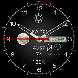 Wacko Watch 2