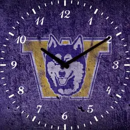 UW Huskies
