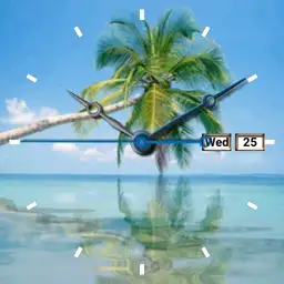Beach Copy