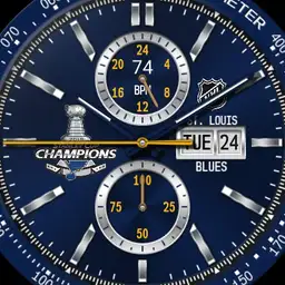 St. Louis Blues Champions