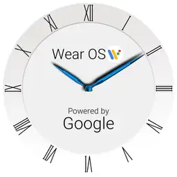 Wear OS Powered by Google