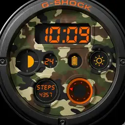 GSCV1