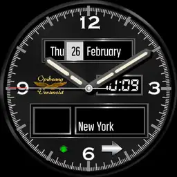 0141 Standard for my watch