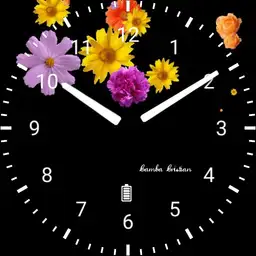 Daisies